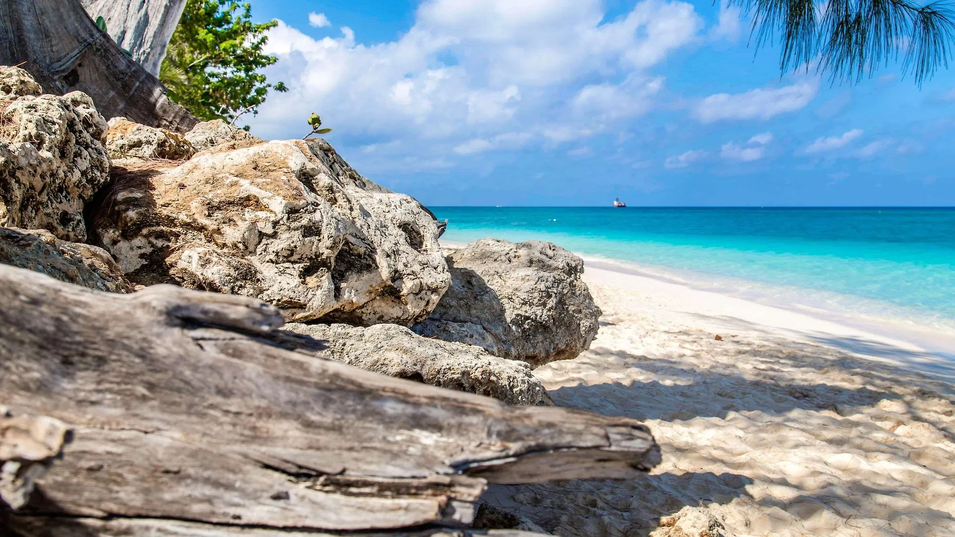 Hampton By Hilton Grand Cayman Seven Mile Beach 조지 타운