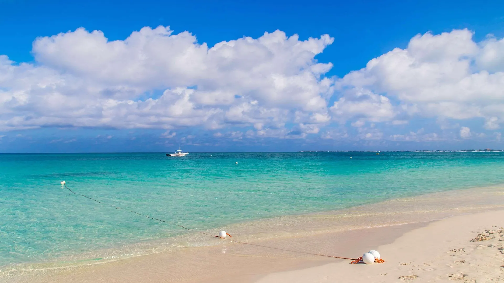 Resort Hampton By Hilton Grand Cayman Seven Mile Beach George Town