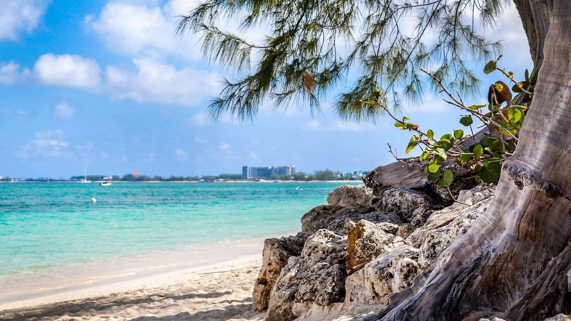 Hampton By Hilton Grand Cayman Seven Mile Beach George Town Cayman Islands