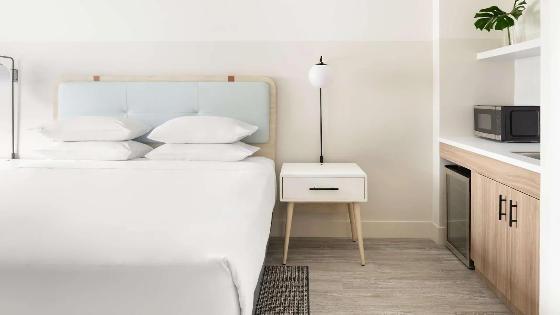 Resort Hampton By Hilton Grand Cayman Seven Mile Beach George Town